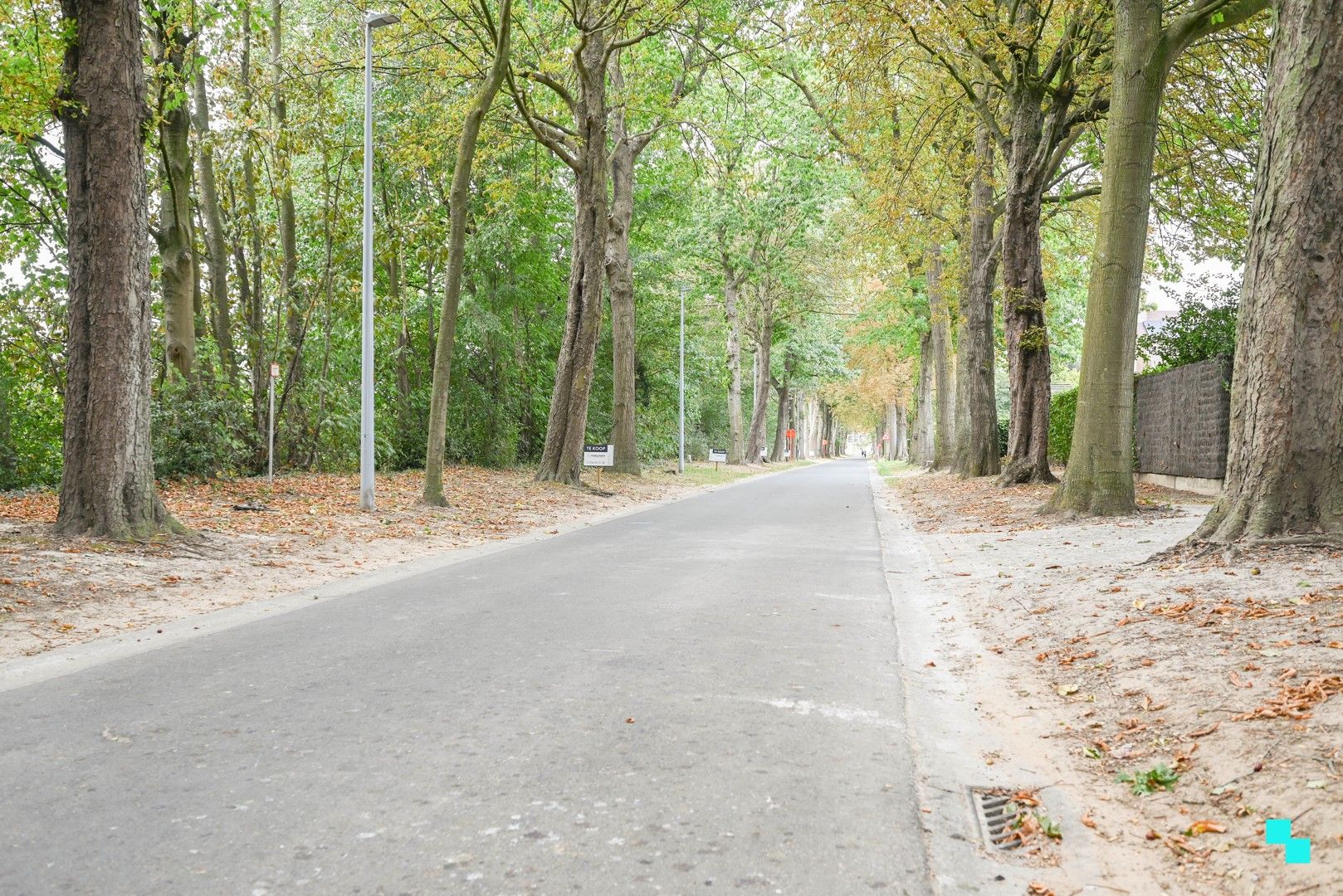 Exclusieve bouwgronden in residentiële laan te Wielsbeke foto 5