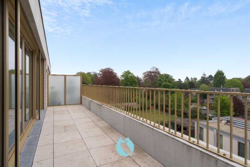 Residentie Campo Verde is gelegen net buiten Gent-Centrum langsheen de Antwerpse Steenweg, op slechts 2,5km van het Dampoort Station. foto 13