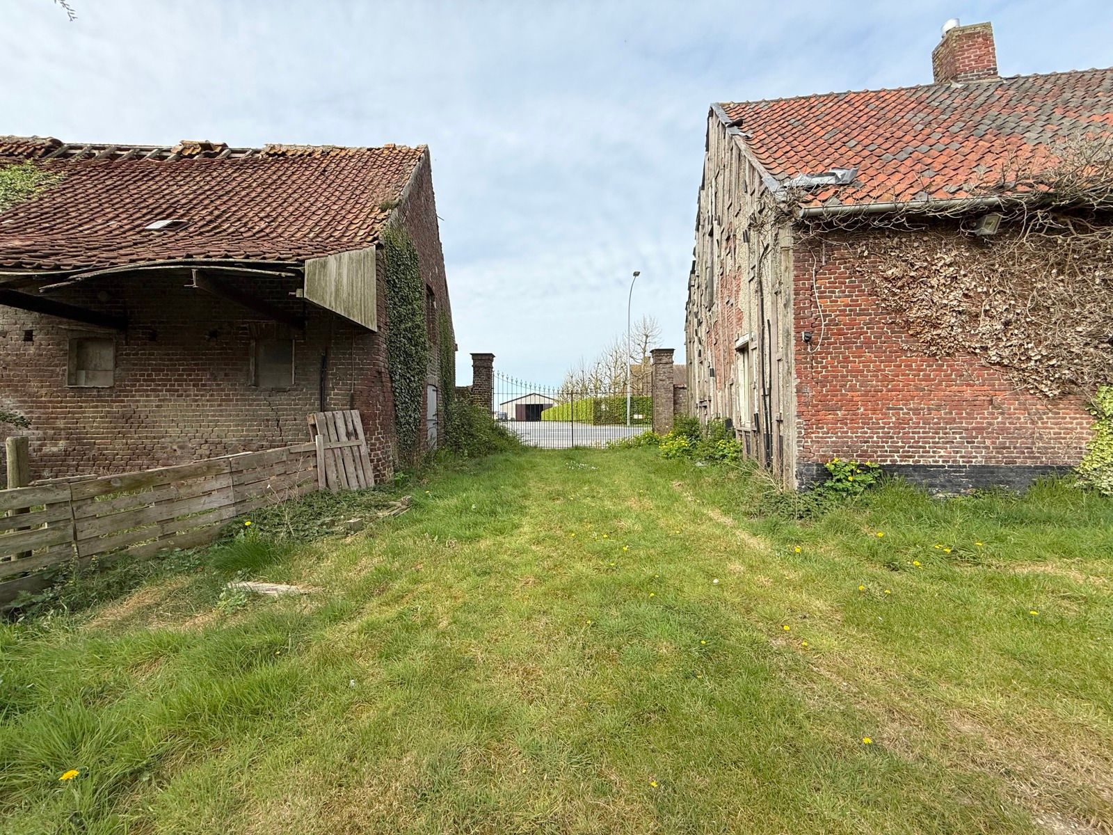 Te renoveren hoeve met woning en verschillende bijgebouwen foto 11