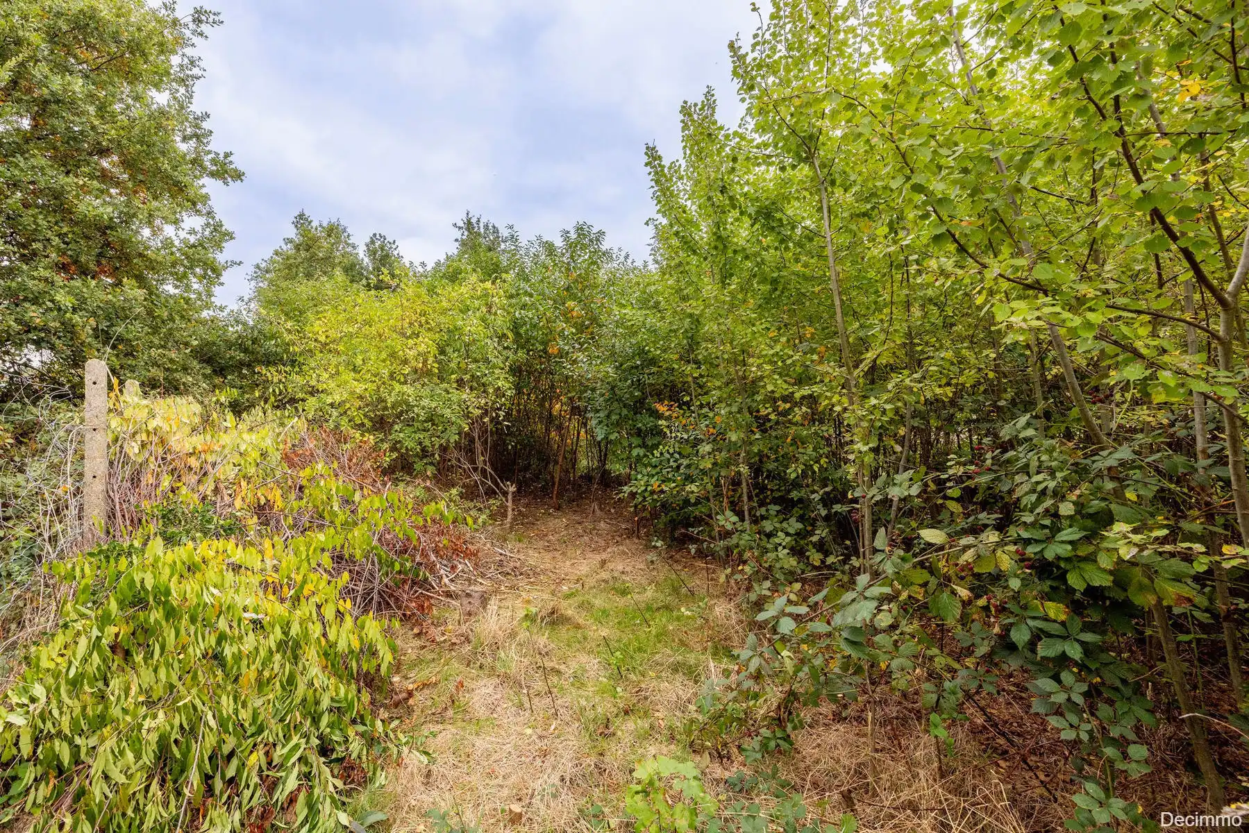 Op te frissen gezinswoning gelegen op rustige locatie foto 33