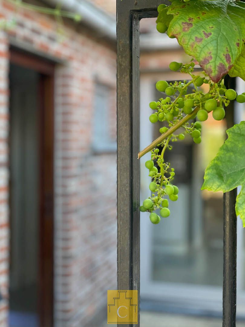 charmante stadswoning met flinke tuin en fietsenpoortje, rustige ligging op St Gillis foto 17