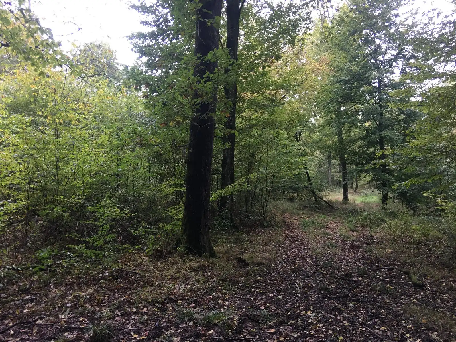 Grond te koop 57220 Charleville-sous-bois