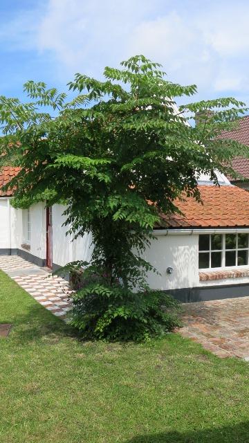 Sint-Rita Moerkerke Idyllische hoevetje op 295 m2 grond, volledig omheind, 3 slaapkamers foto 19