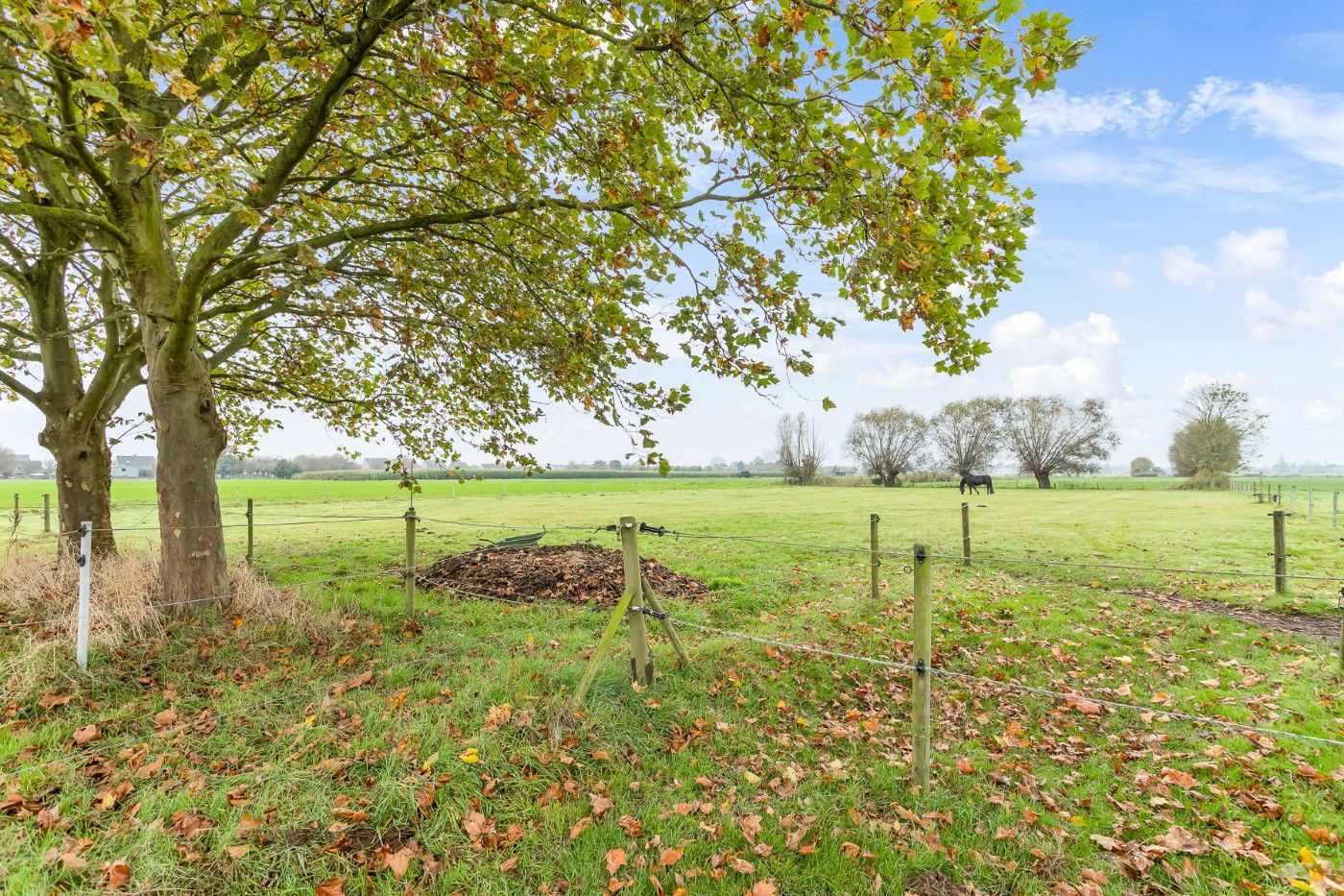 Mooi stuk weiland met 4 paardenstallen en rijpiste van ruim 1,5 hectare te koop in Hoevenen foto 10