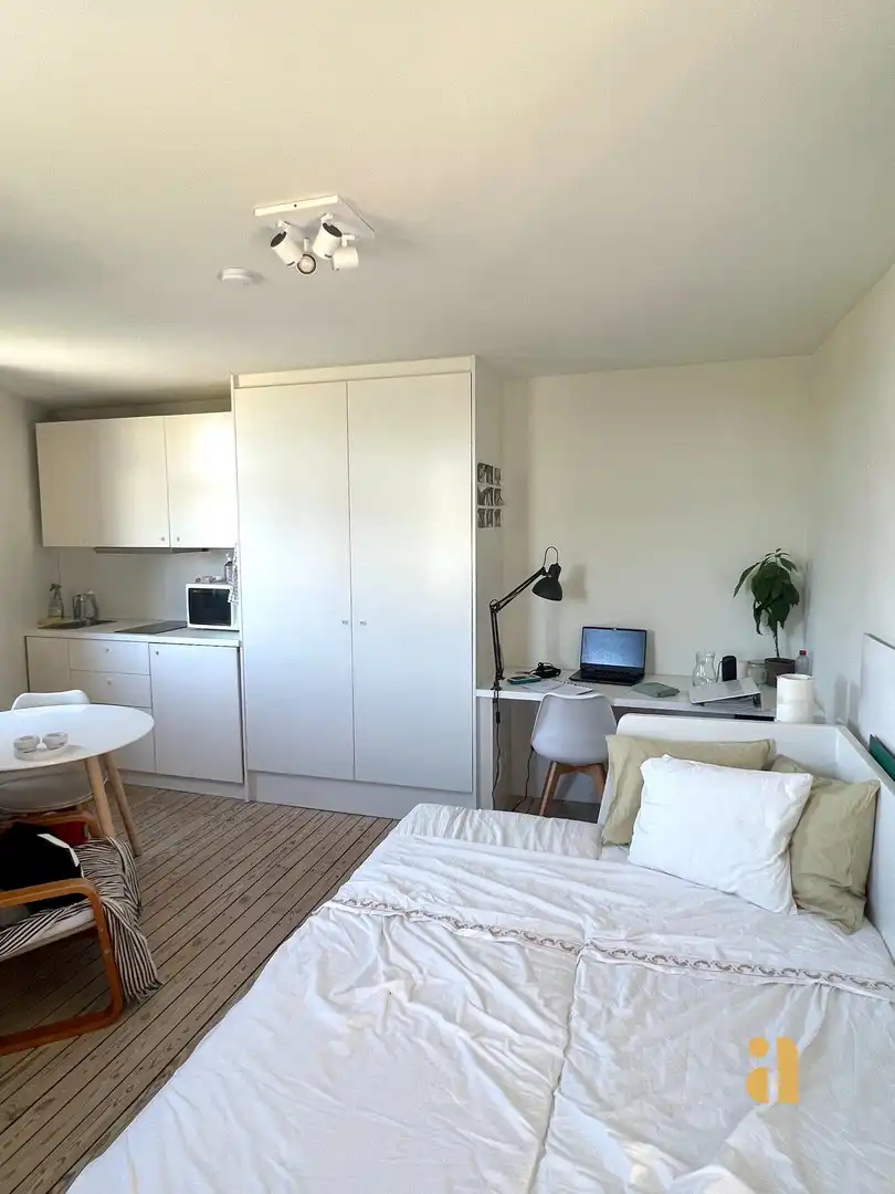 Bemeubelde studio met zicht op Baudelopark en Leie! foto 4