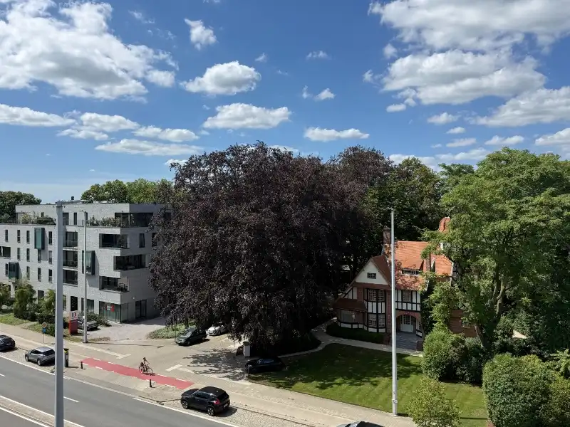 Lichtrijk dakappartement met ruim dakterras tussen Sint-Pietersstation en UZ Gent foto 6