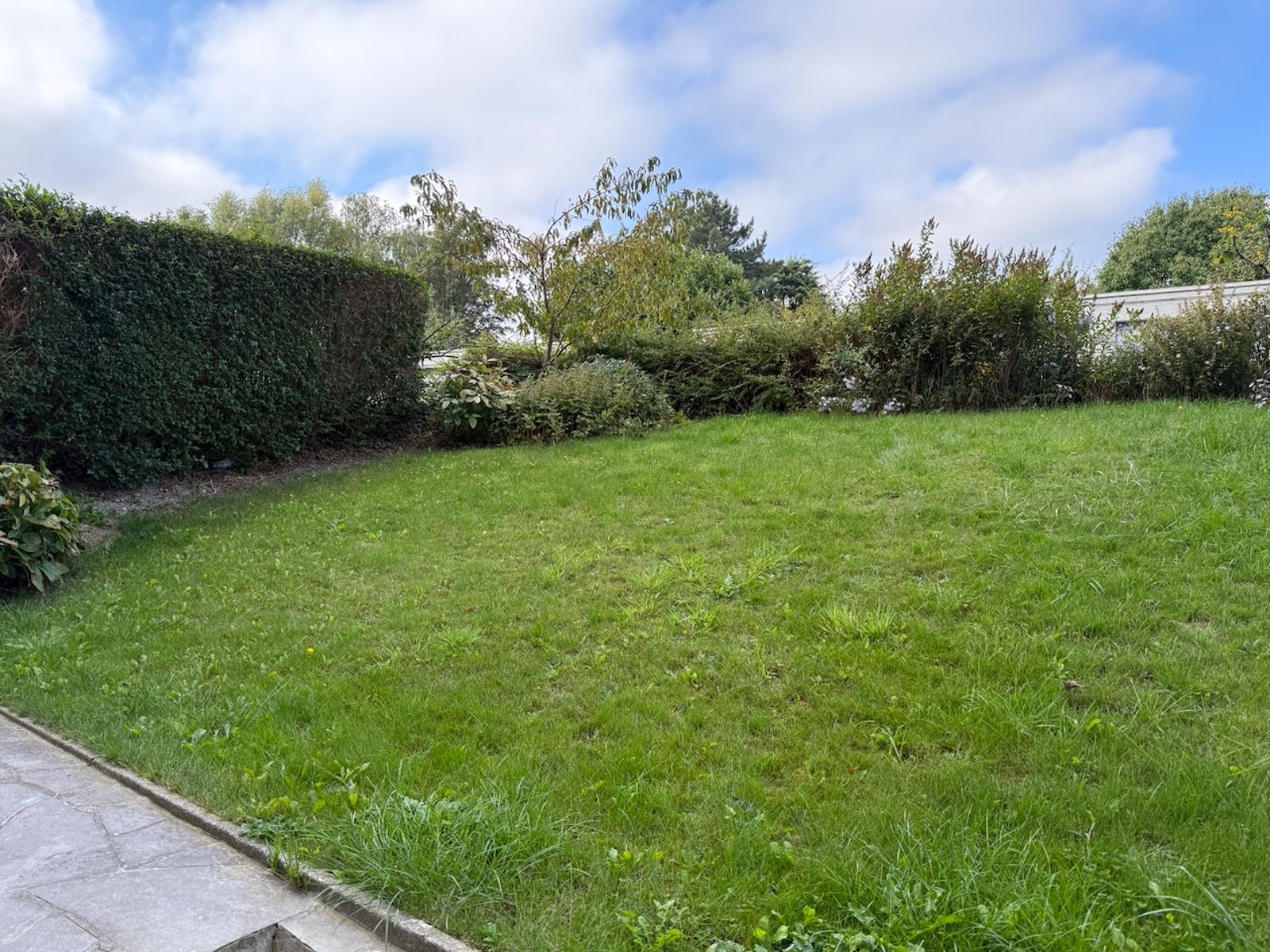 Gerenoveerde studio met parking foto 10