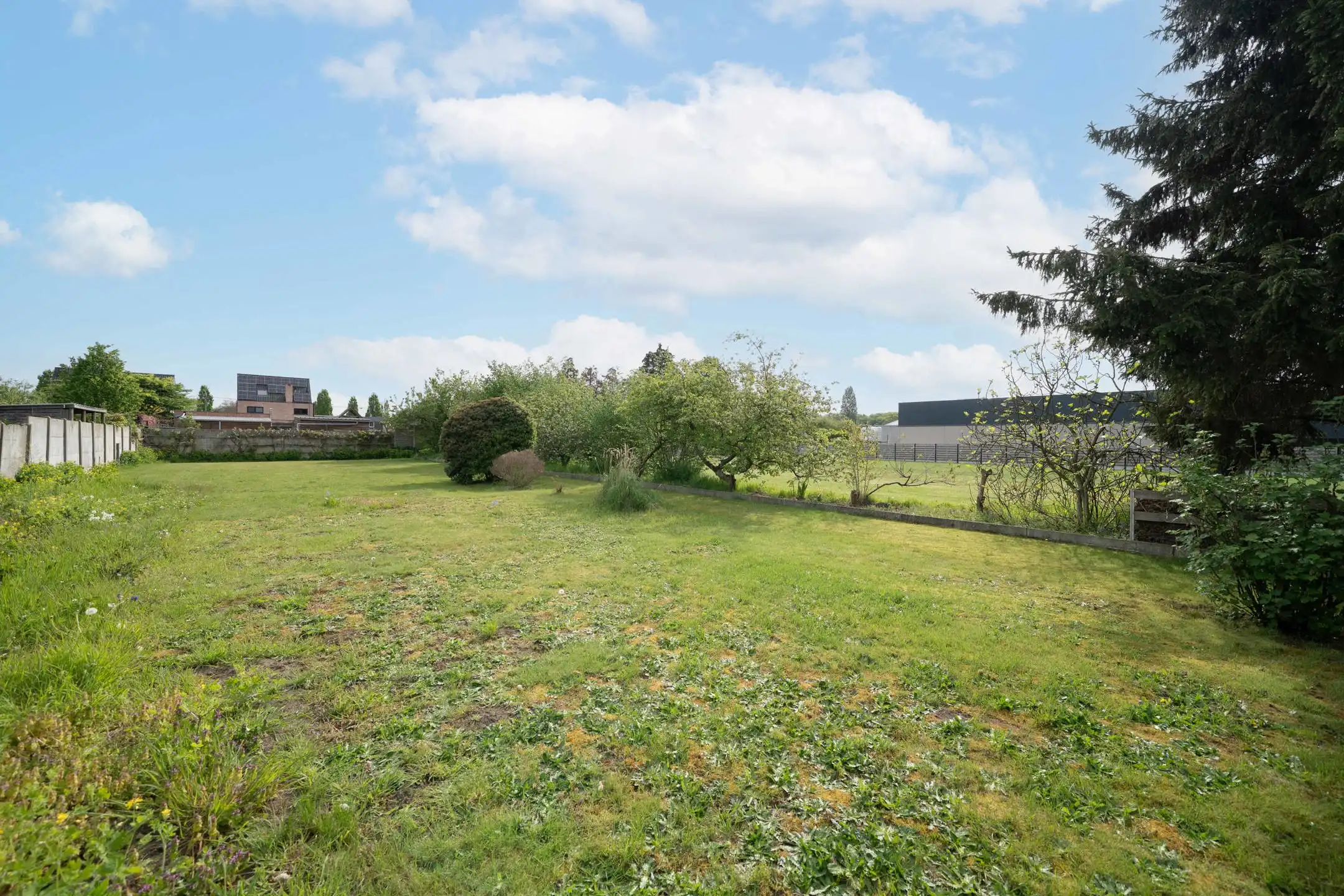 Te renoveren OB op 11 are 46 ca foto 22