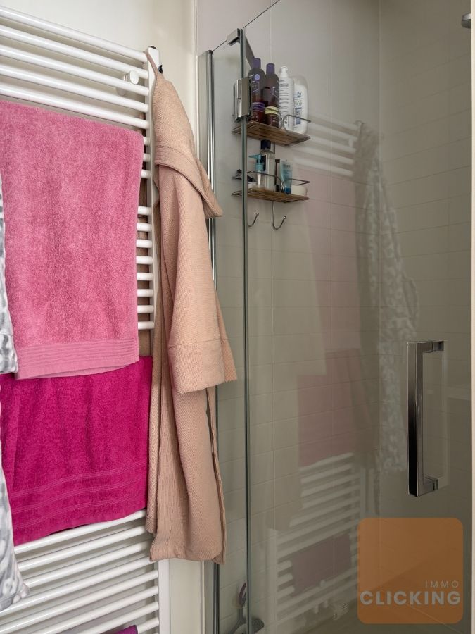 Tof 1 slaapkamerappartement met terras en tuintje foto 13
