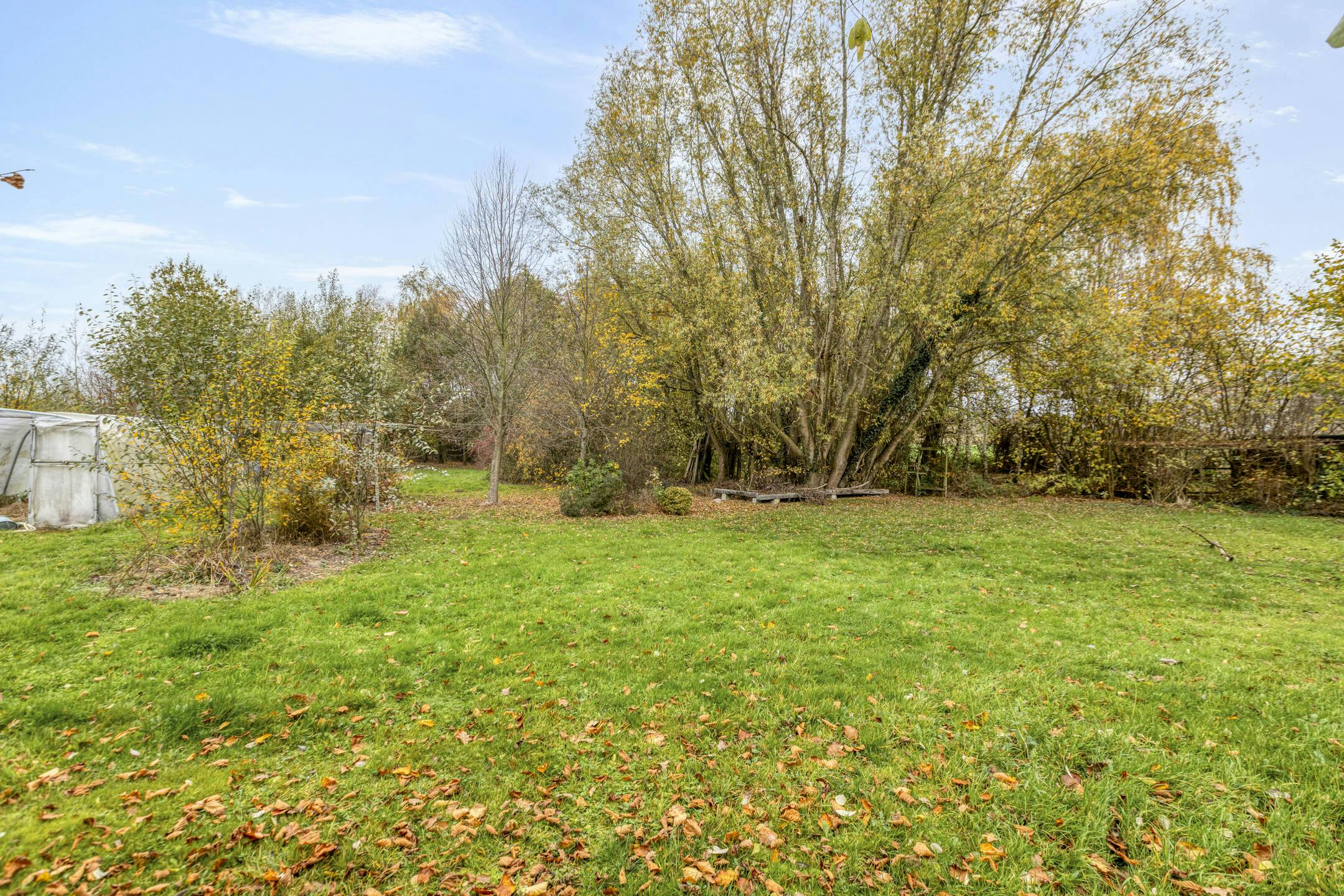 Karaktervolle woning met uitgestrekt perceel van 1HA31A te Halen foto 11