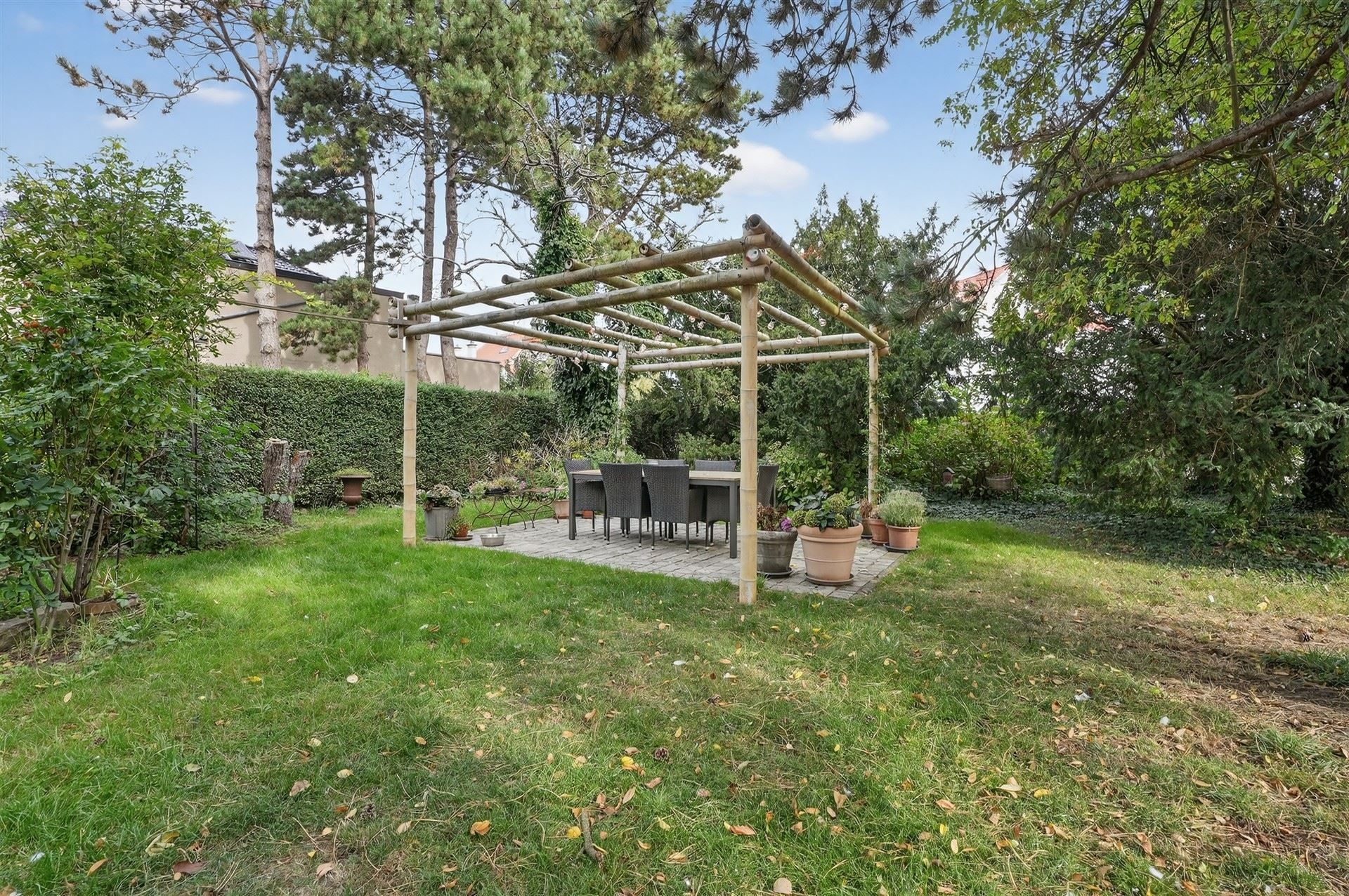 EXCLUSIEF / GROENE OASE  foto 22