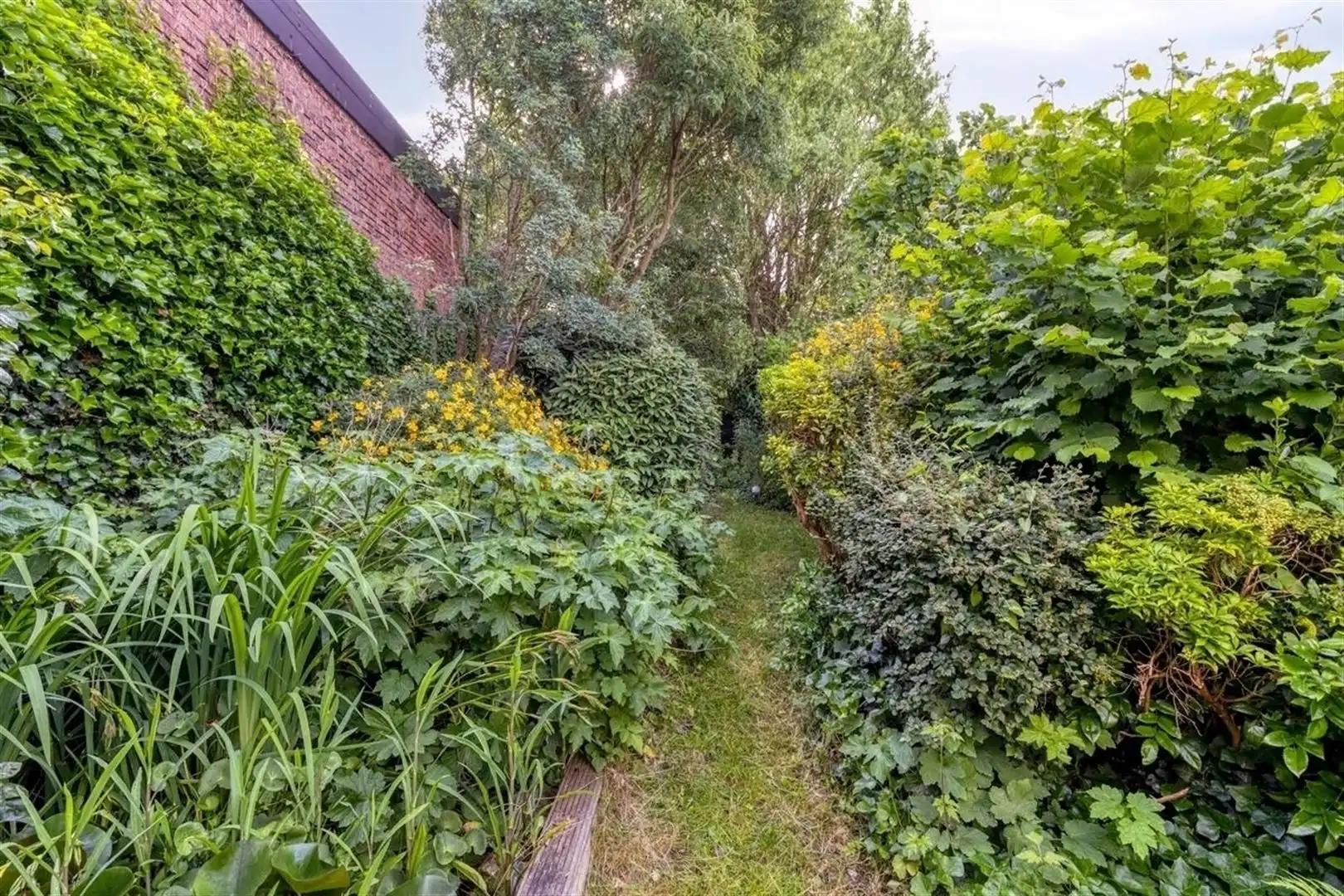 Knusse woning in deelgemeente Leupegem foto 23