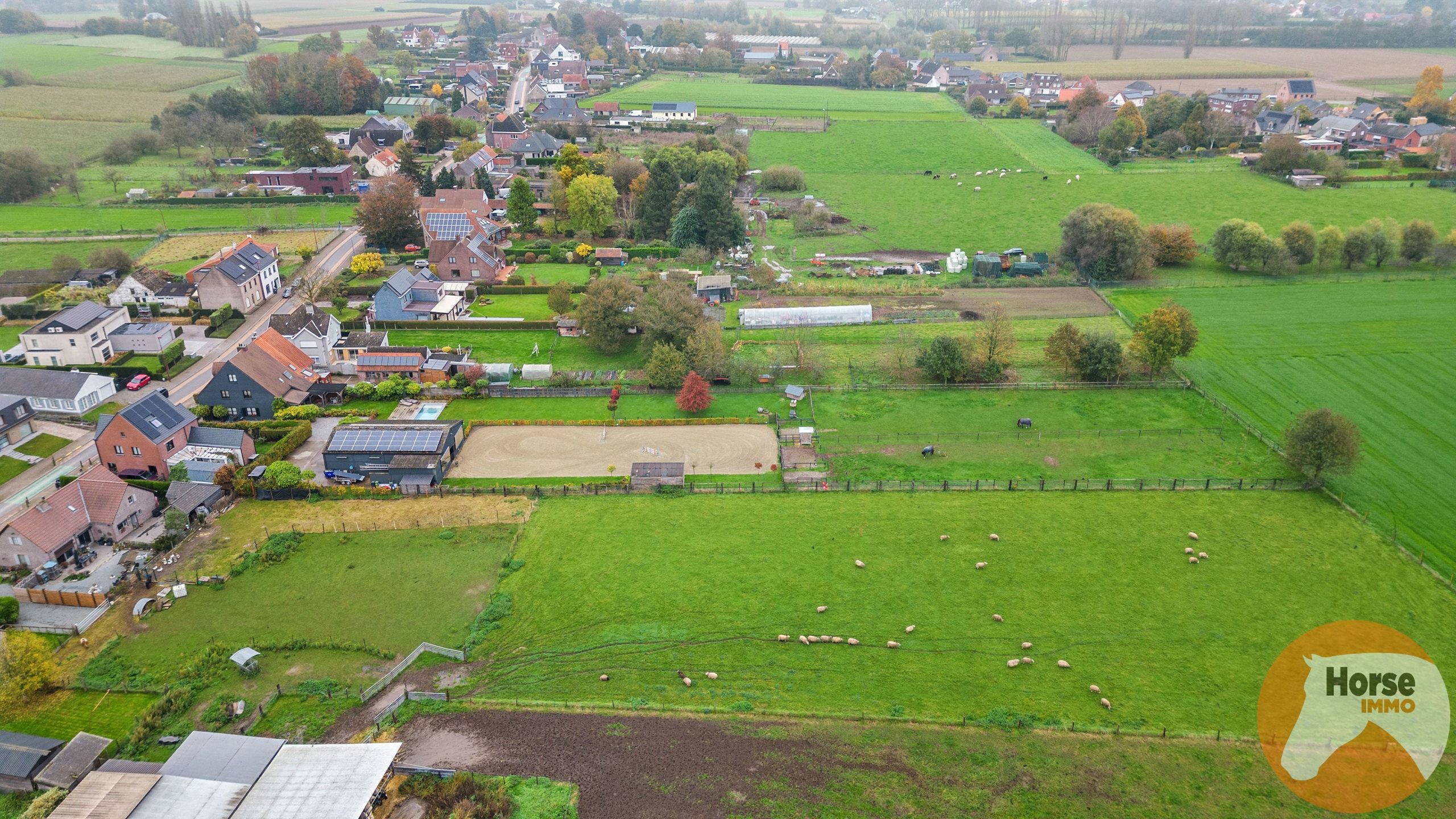 OOSTERZELE - Instapklare woning met stallen, piste en weides foto 10