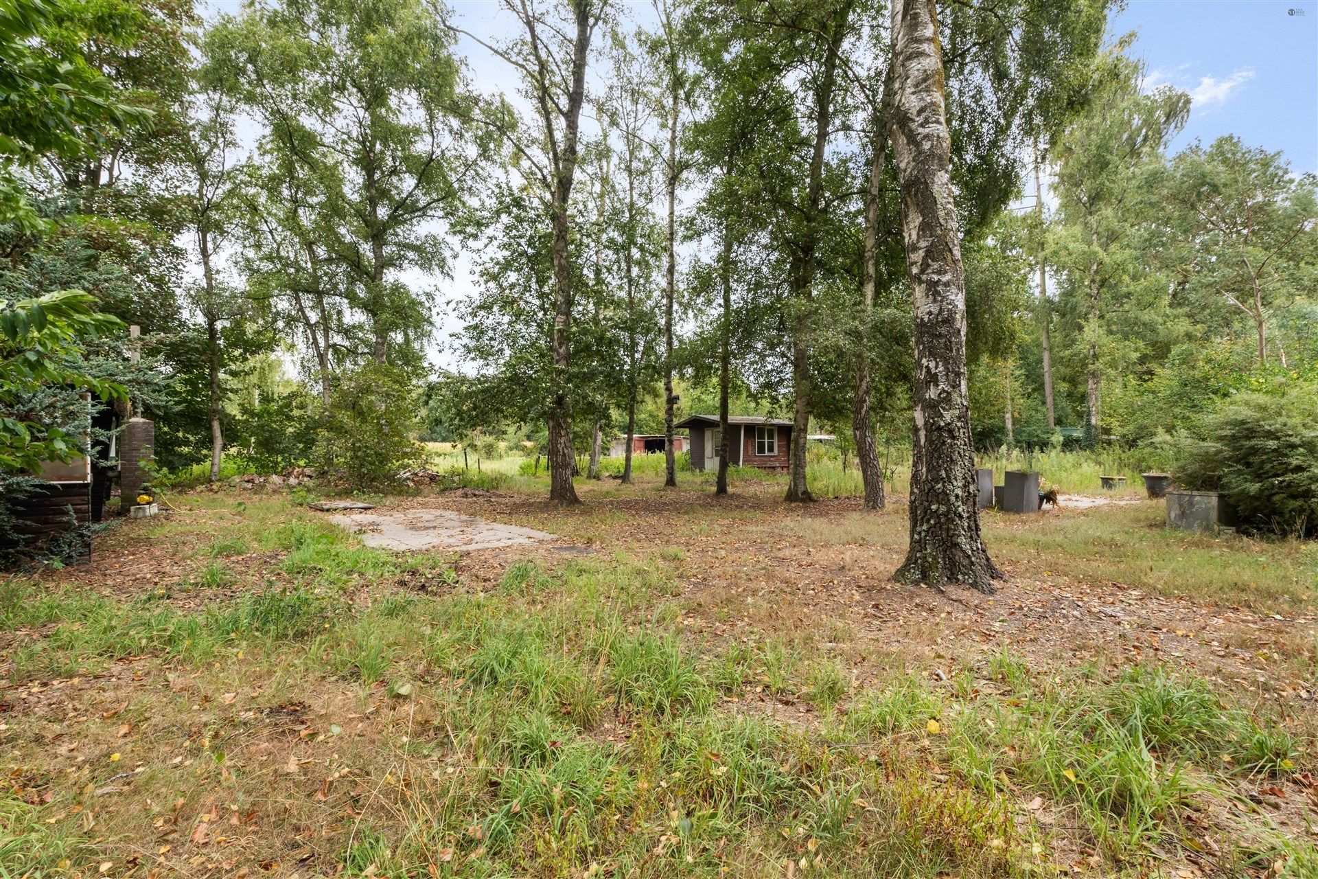 Ruime vakantiewoning op 4.609m² grond foto 2