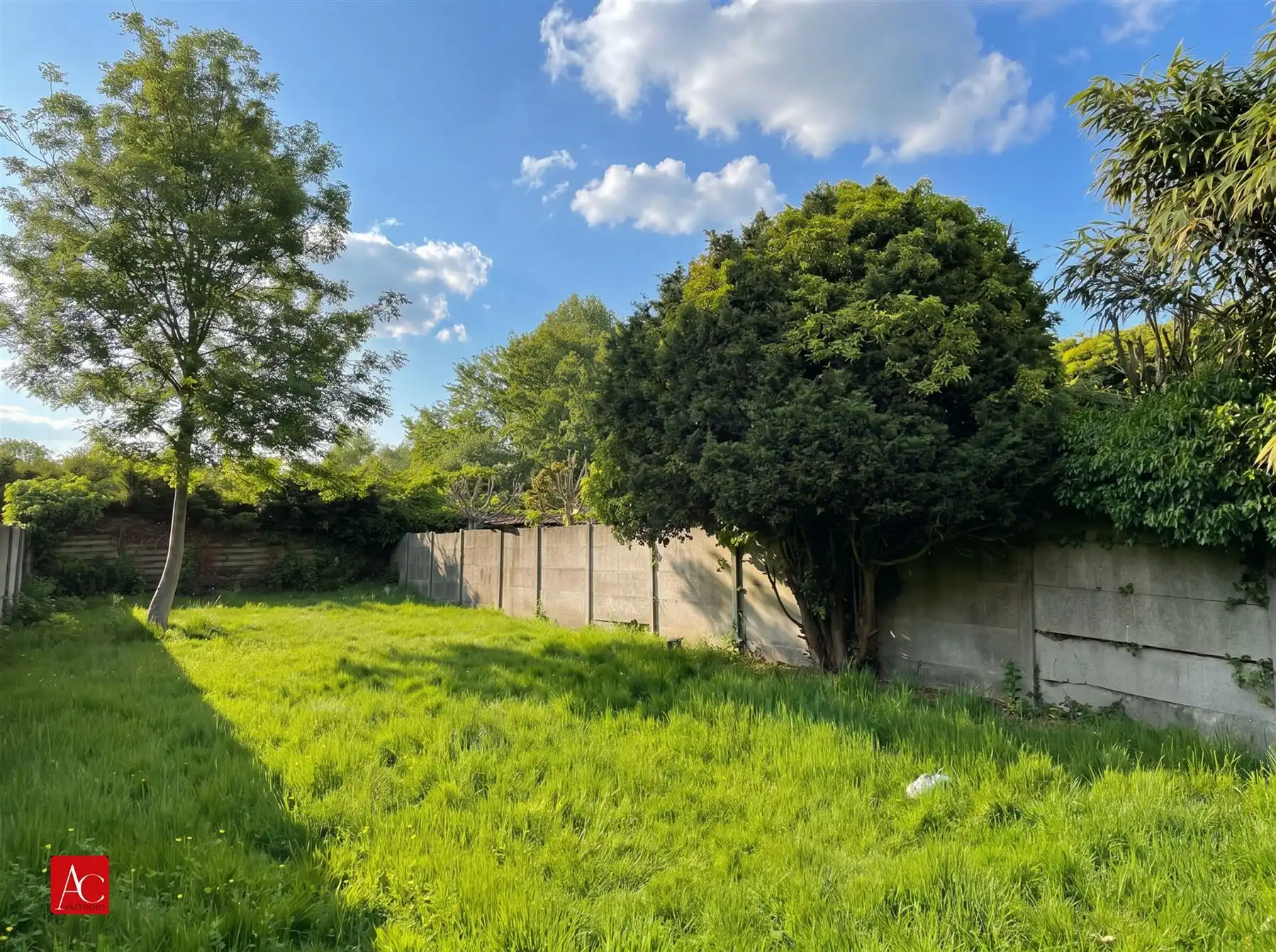 Degelijke renovatiewoning te Stekene foto 3