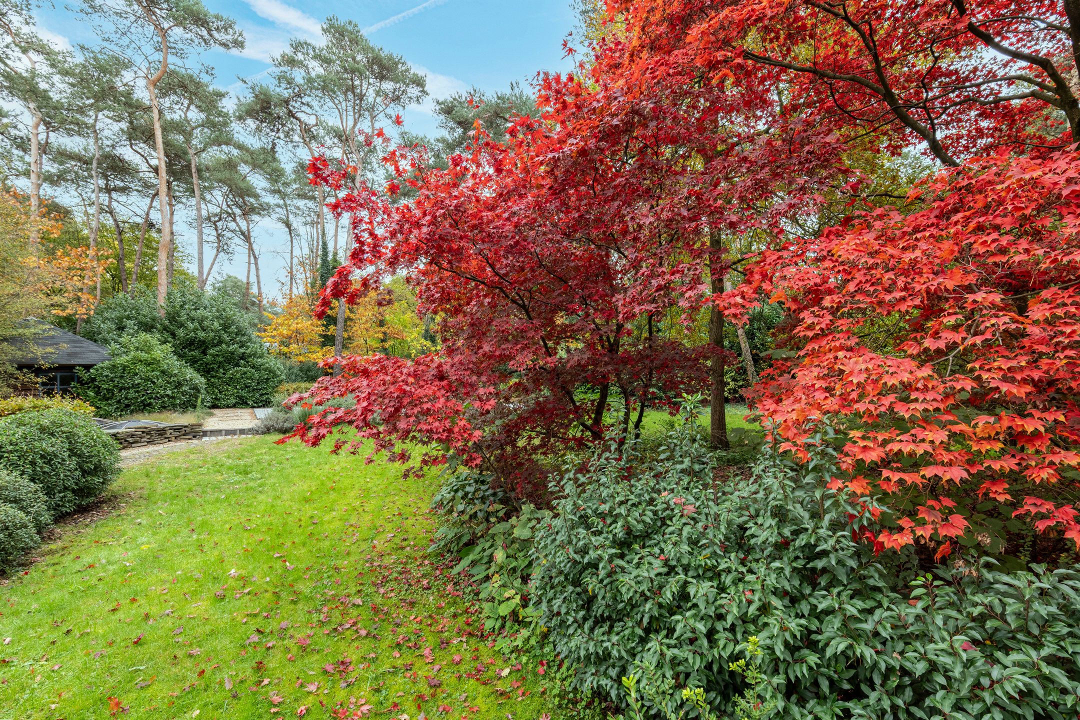 Woning met zwembad op zuidgericht perceel van ca. 2145 m² foto 28