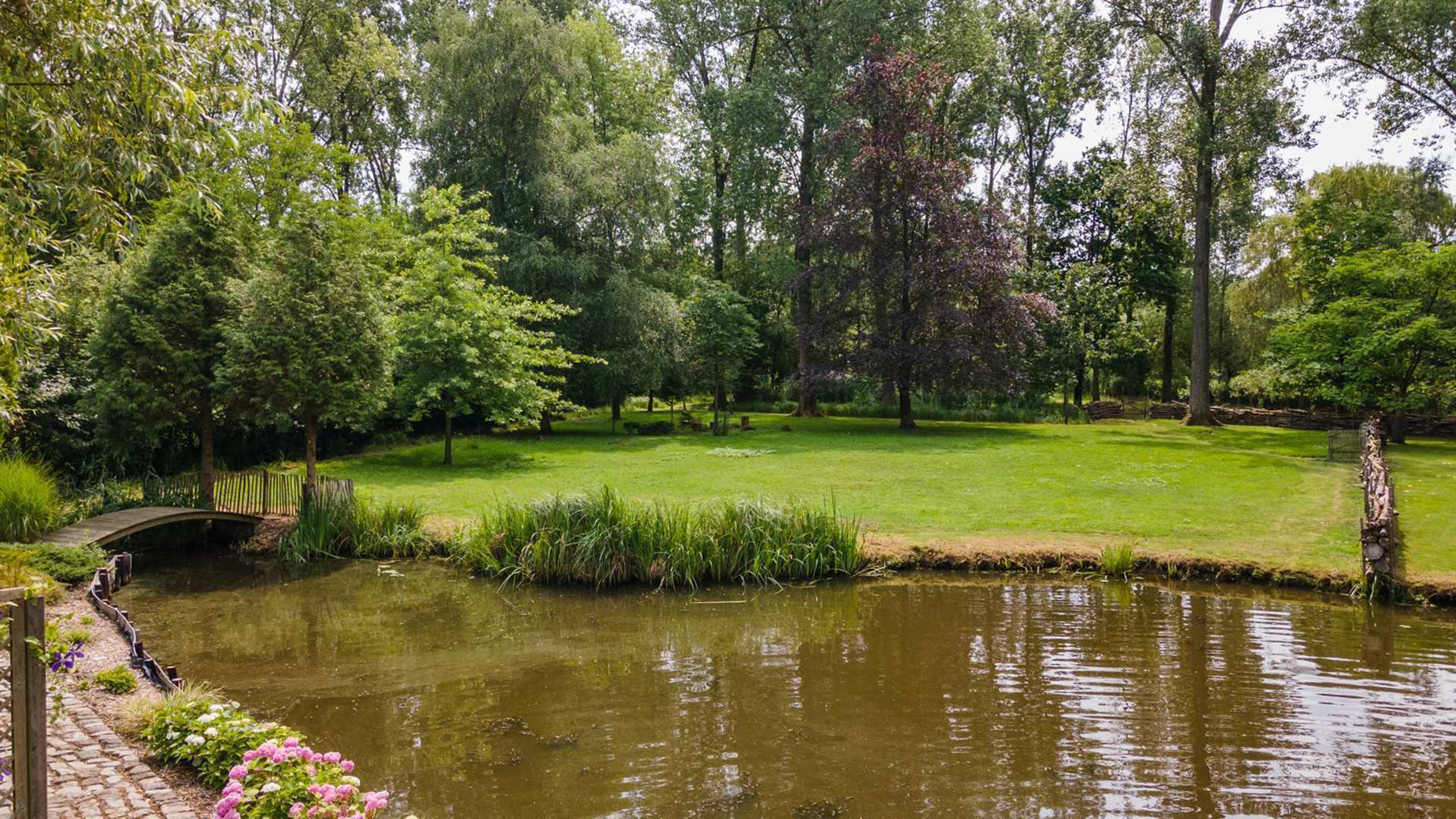 Uitzonderlijke hoeve met praktijk in oase van groen  foto 6
