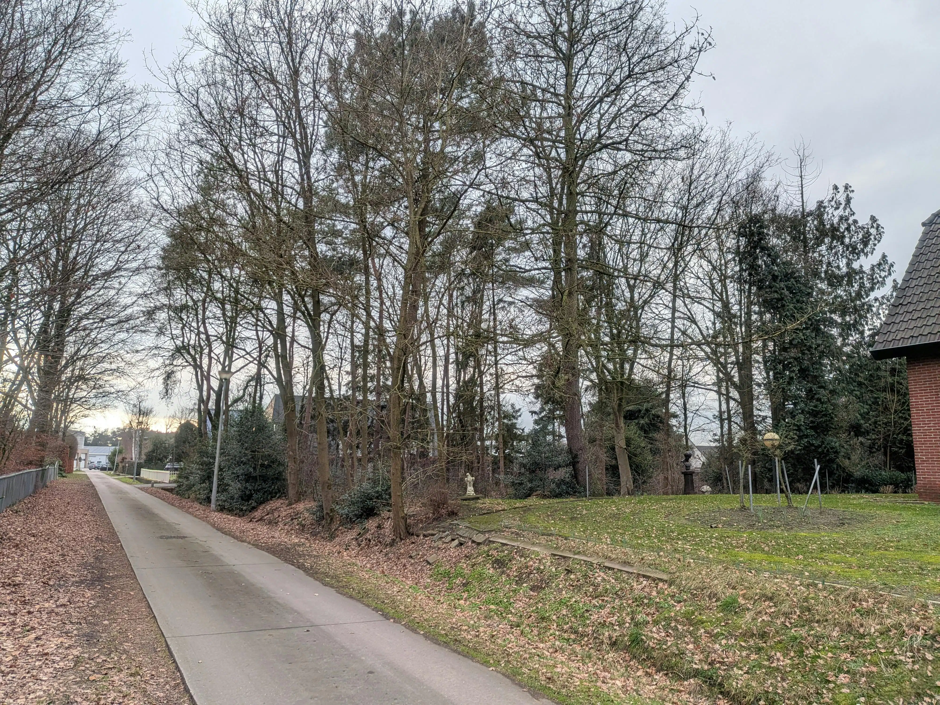 Villagrond van 14 are, 35m breed, te koop in Ravels/Poppel foto 2