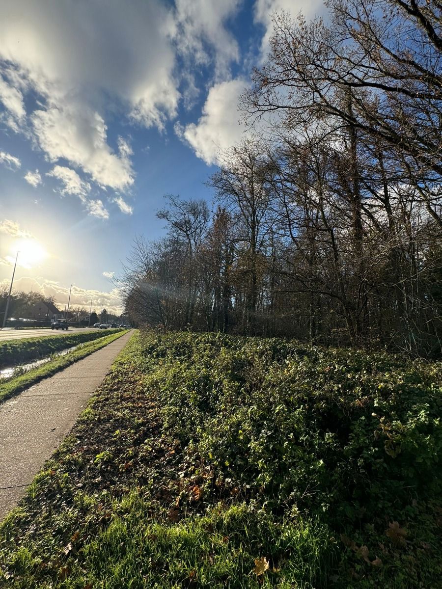 Exclusief perceel bouwgrond van ca. 3.998m² aan de Kapellei foto 2