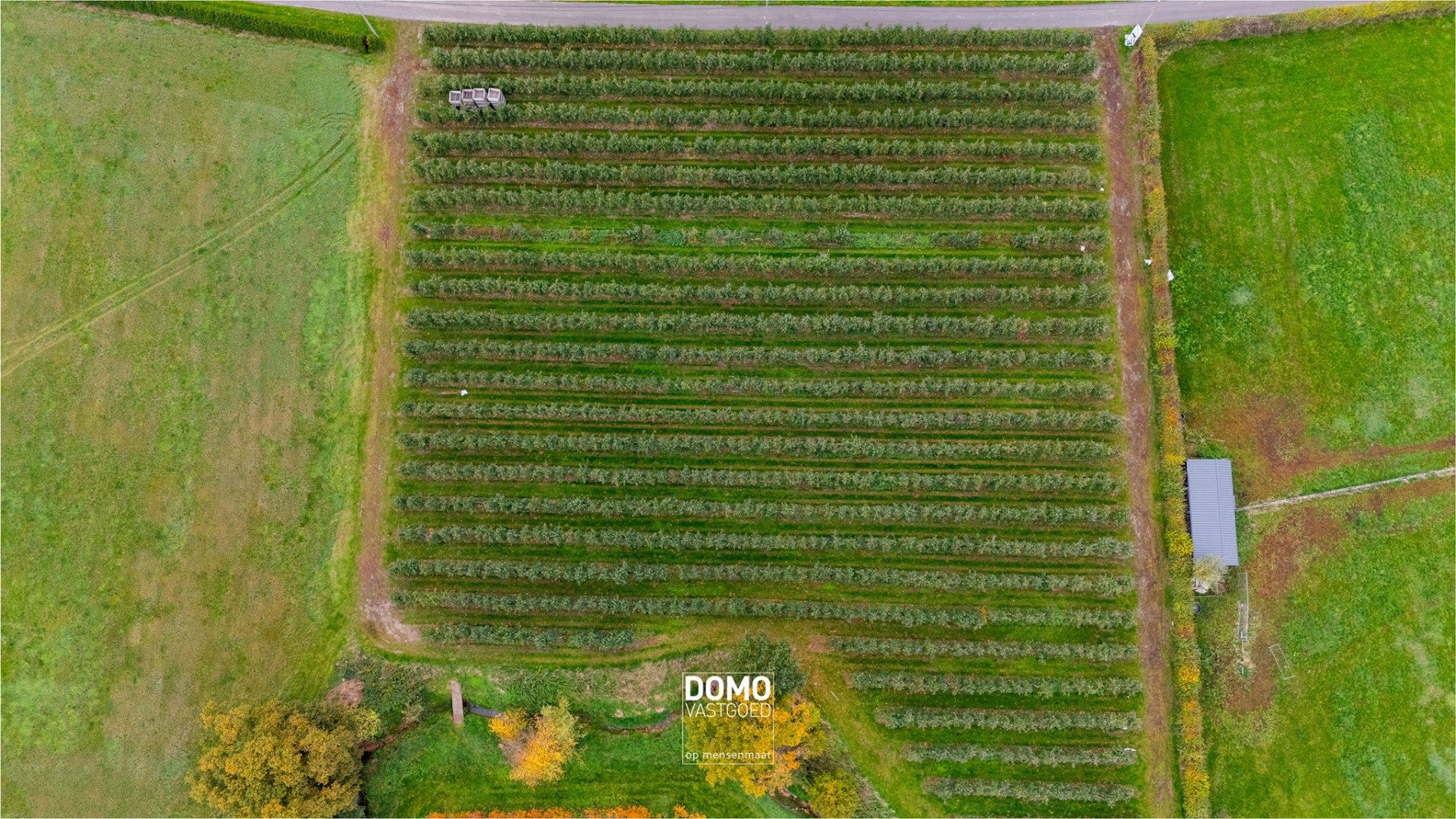 PRACHTIG GELEGEN BOOMGAARD VAN 75A15CA TE KOOP TE HERK-DE-STAD  foto 2