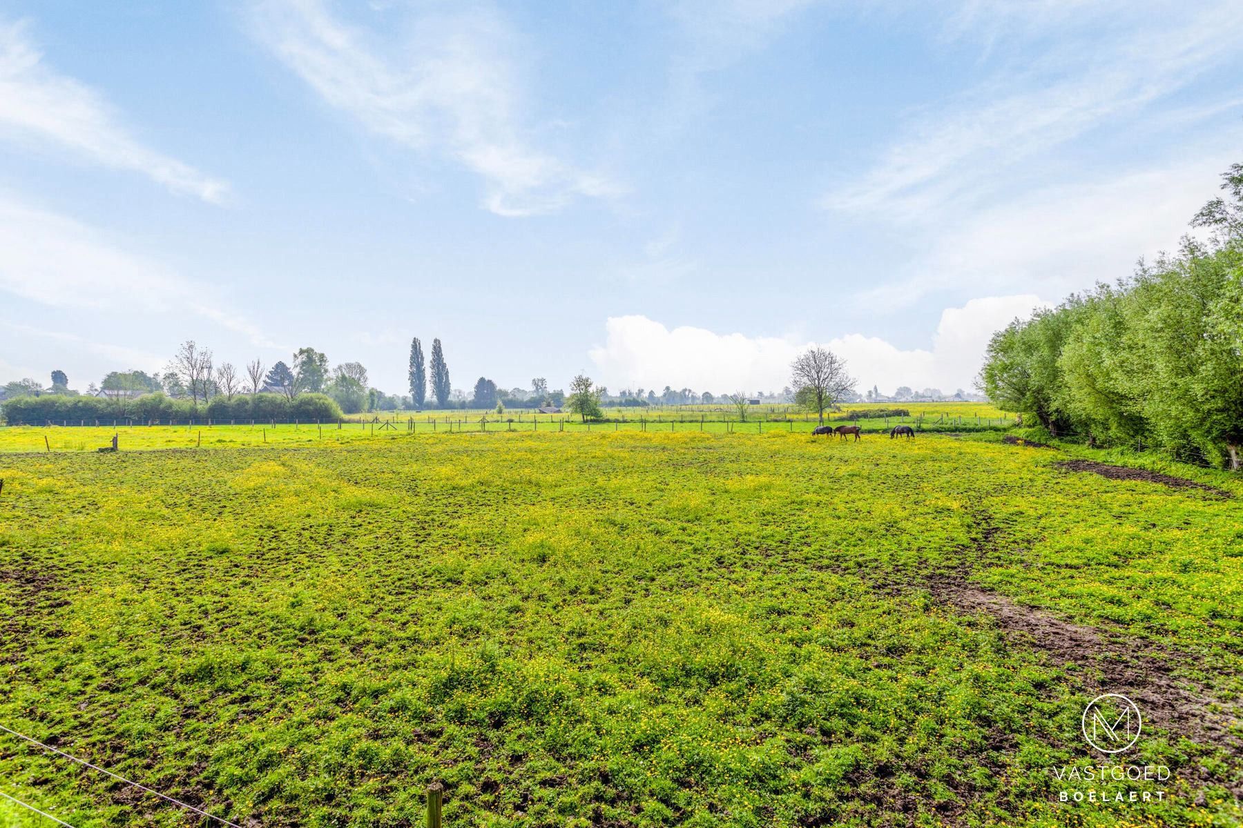 Gezinswoning met dubbele garage, 3 slaapkamers en grote tuin te Nieuwerkerken foto 25