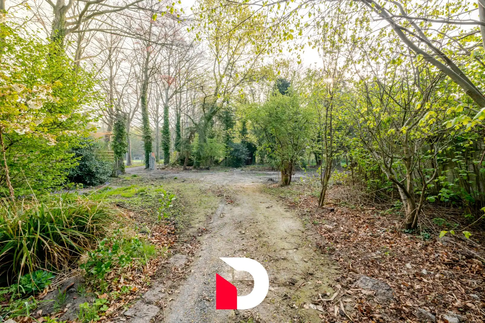 Uniek perceel van 6.448 m² met te renoveren woonst aan Merkenveld bos te Zedelgem  foto 14