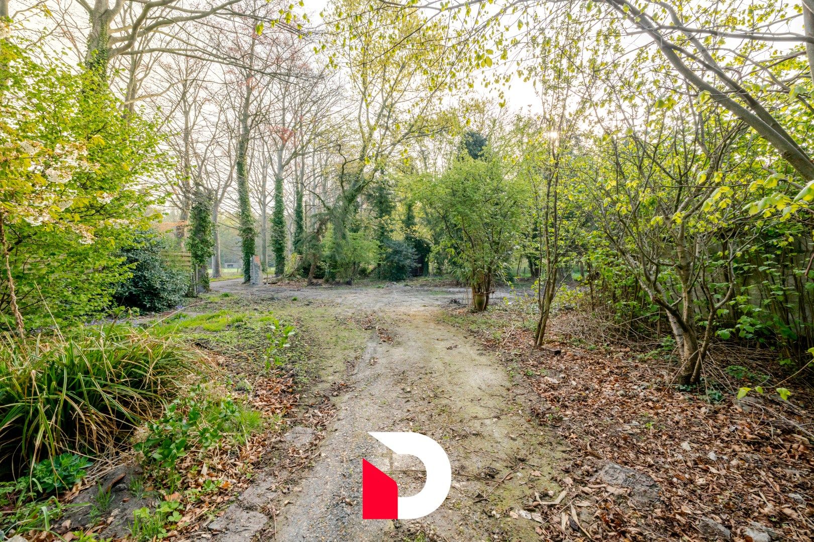 Uniek perceel van 6.448 m² met te renoveren woonst aan Merkenveld bos te Zedelgem  foto 14