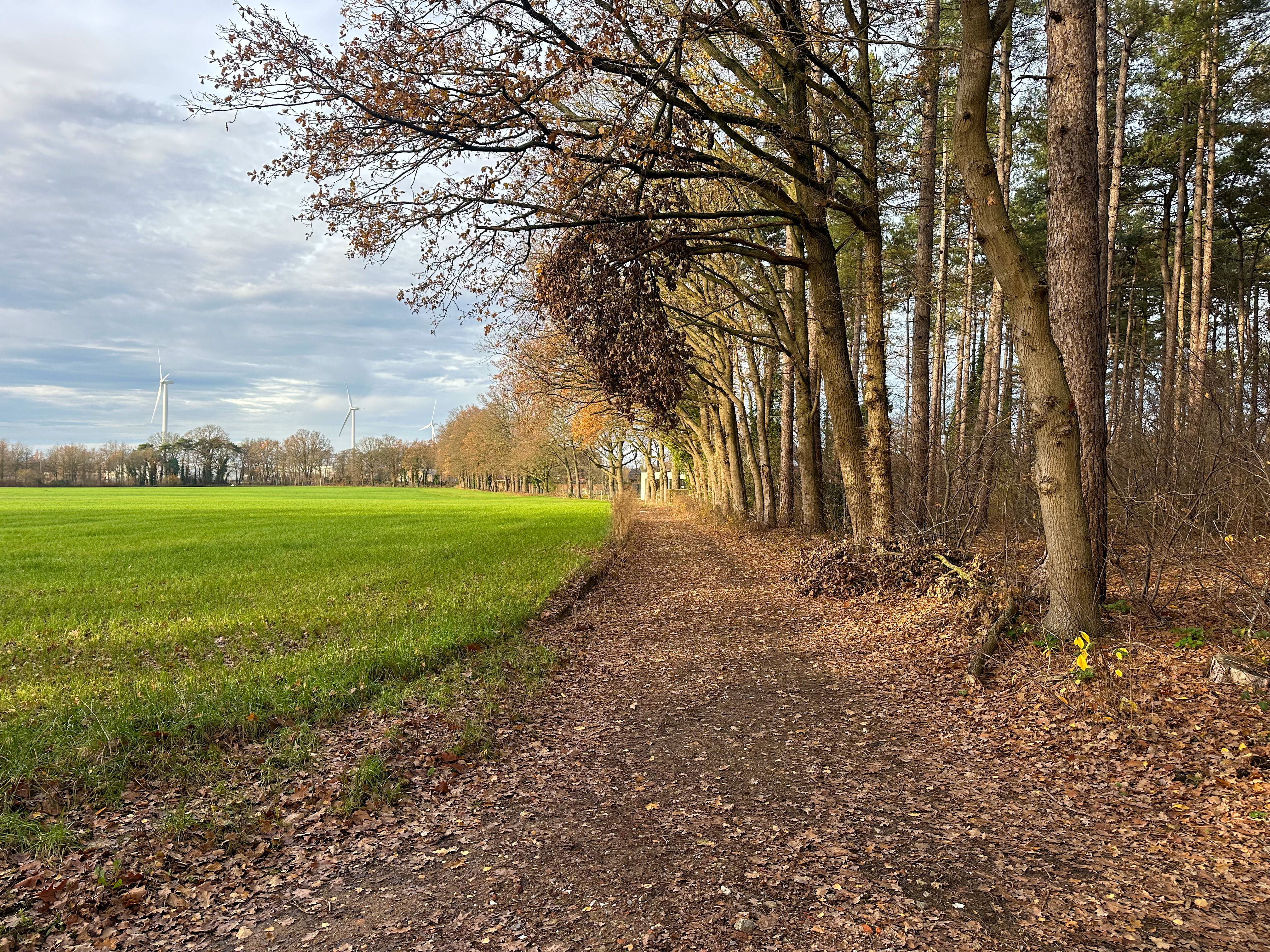 Bouwperceel in residentiële straat foto 8