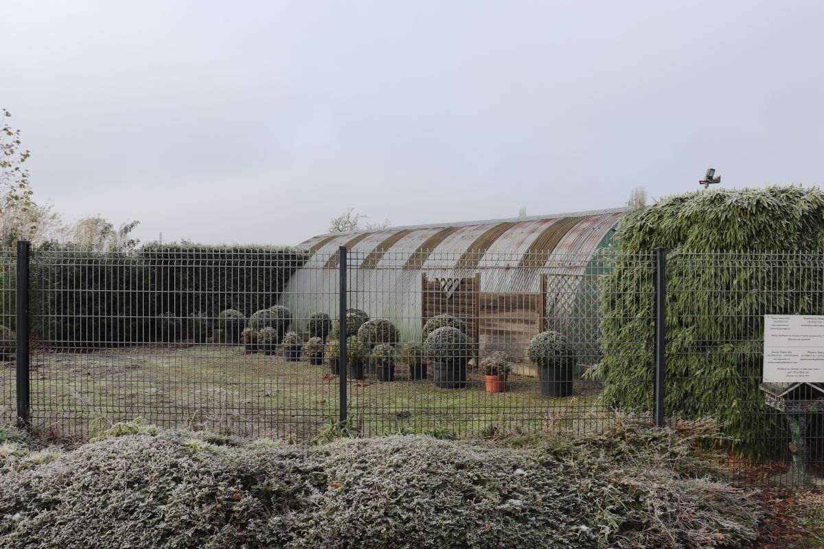 Plantenkwekerij te koop te Zwevegem foto {{pictureIndex}}