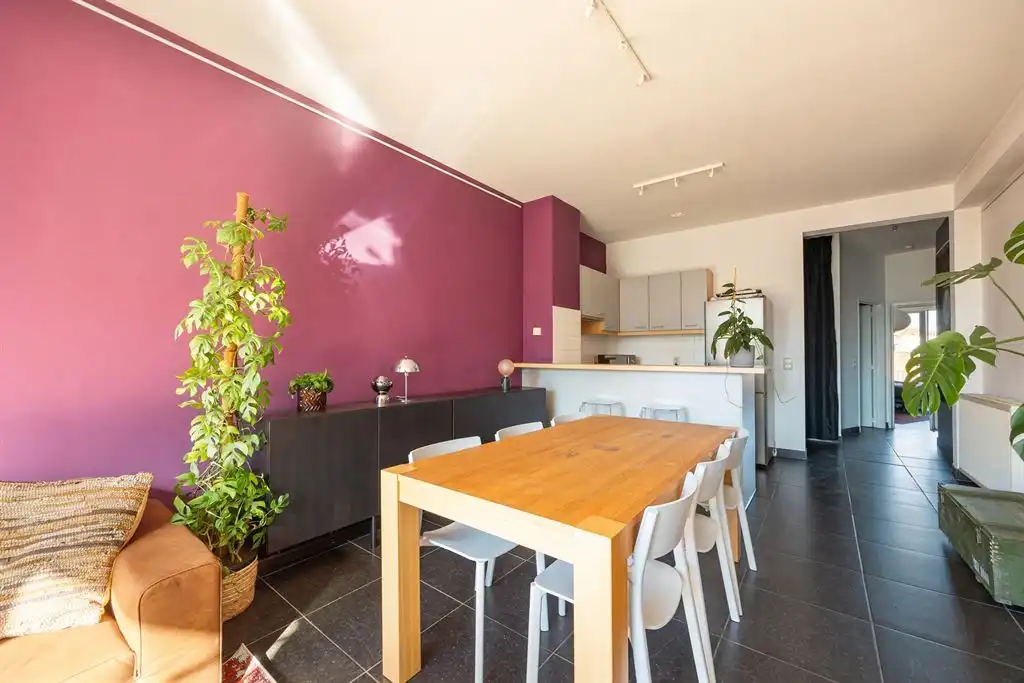 Lichtrijk appartement in hartje Antwerpen foto 4