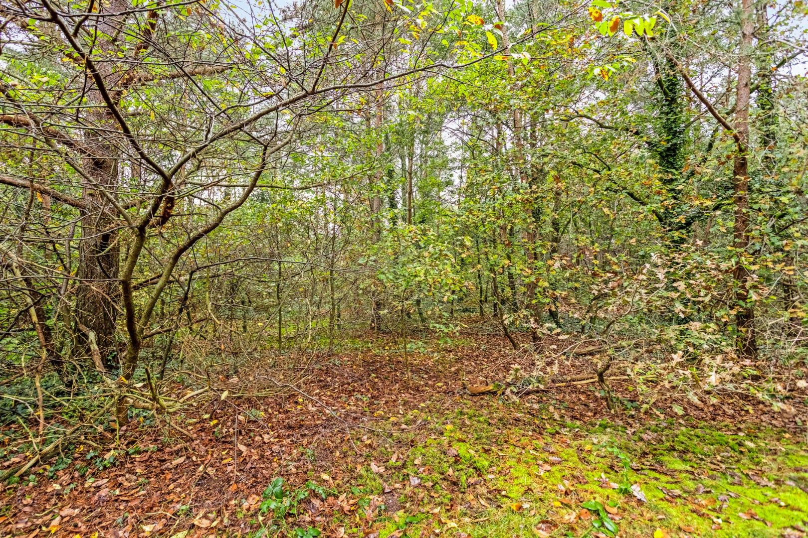Dubbele woonst rustig en groen gelegen op een perceel van ca 24a !  foto 28