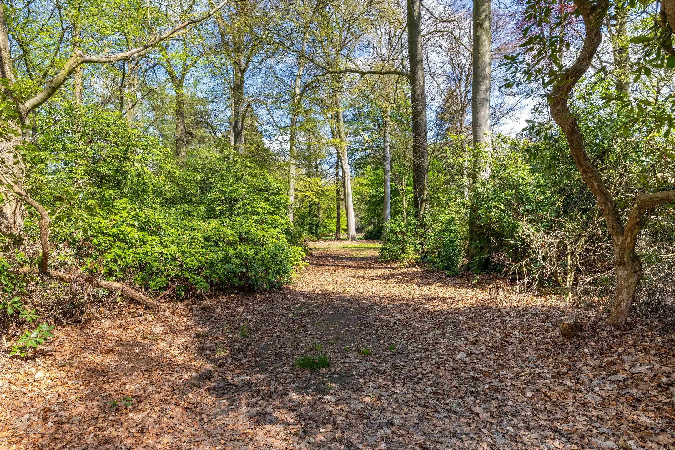 Exceptionele bouwgrond van 12.465 m² in Vriesdonk foto 13