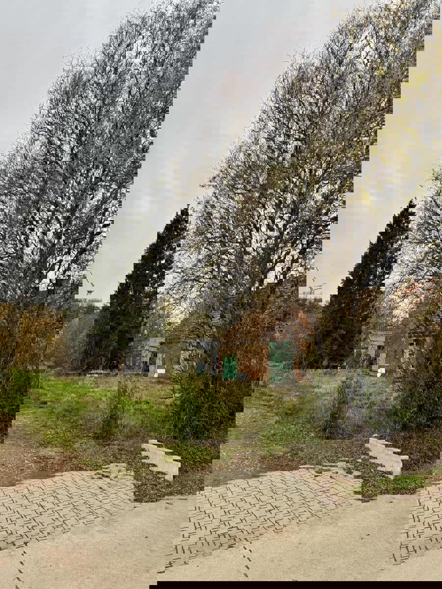 Bouwgrond voor open bebouwing met achterliggend weiland gelegen op uiterst rustige locatie te Olmen. foto 7