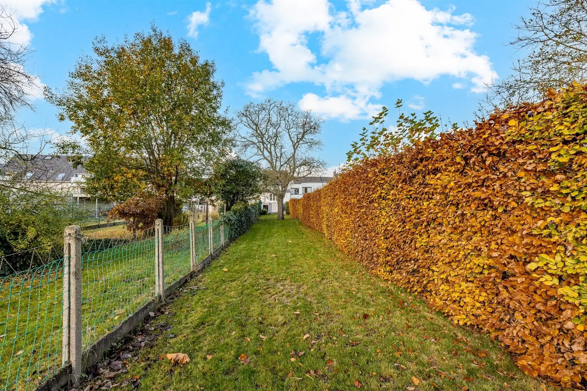 Gezellige rijwoning met uitzonderlijke grote tuin in hartje Schellebelle foto 28