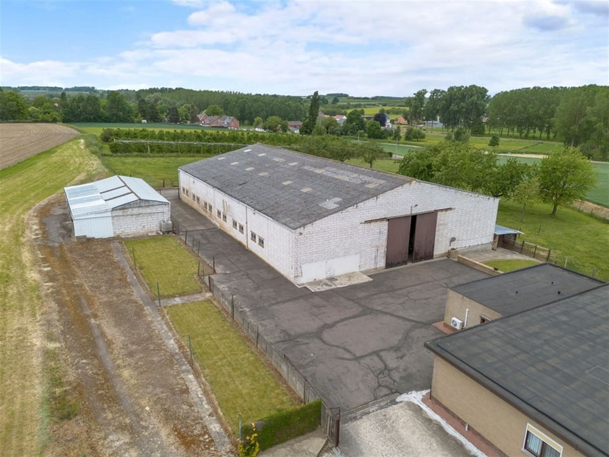 RUIME GEZINSWONING MET LOODS EN WEIDE OP 1,1 HECTARE IN HET LANDELIJKE SINT-TRUIDEN foto 7