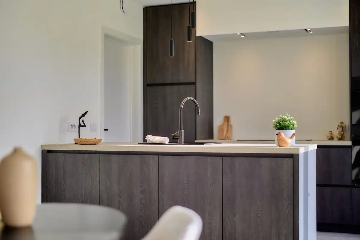 Hedendaagse en energiezuinige halfopen bebouwingen in Meulebeke foto 7