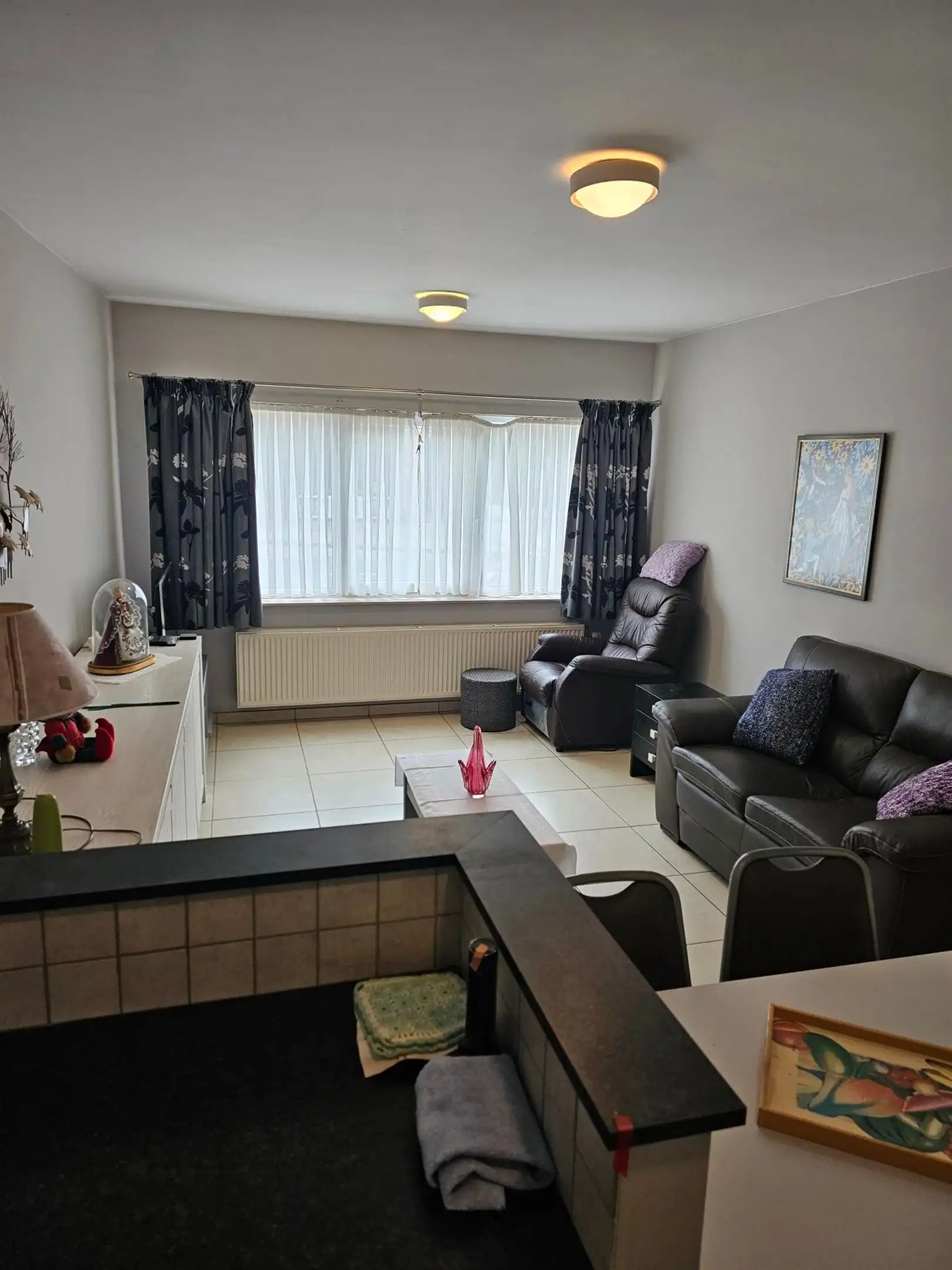 Gezellig gelijkvloers appartement met groot terras en één slaapkamer. foto 4