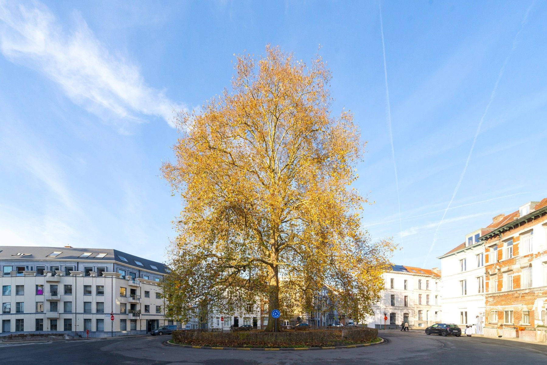 Gerenoveerd, energiezuinig appartement op toplocatie foto 18