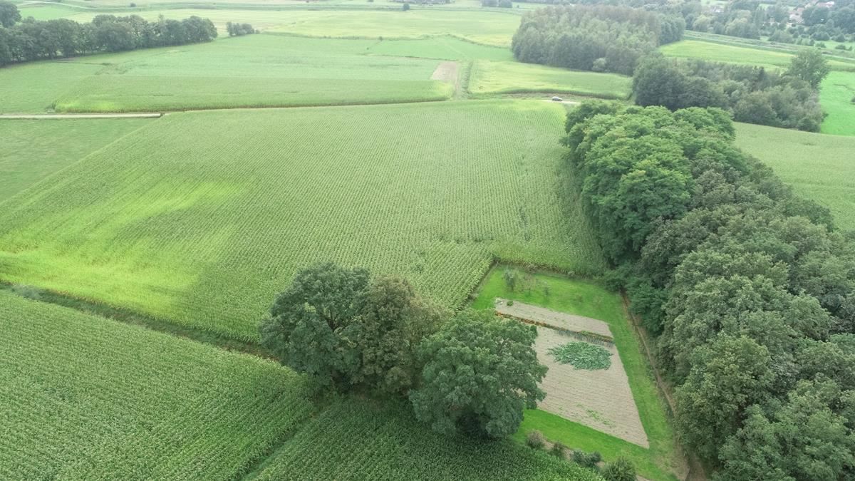 1,16 ha akkerland te Nijlen foto 2