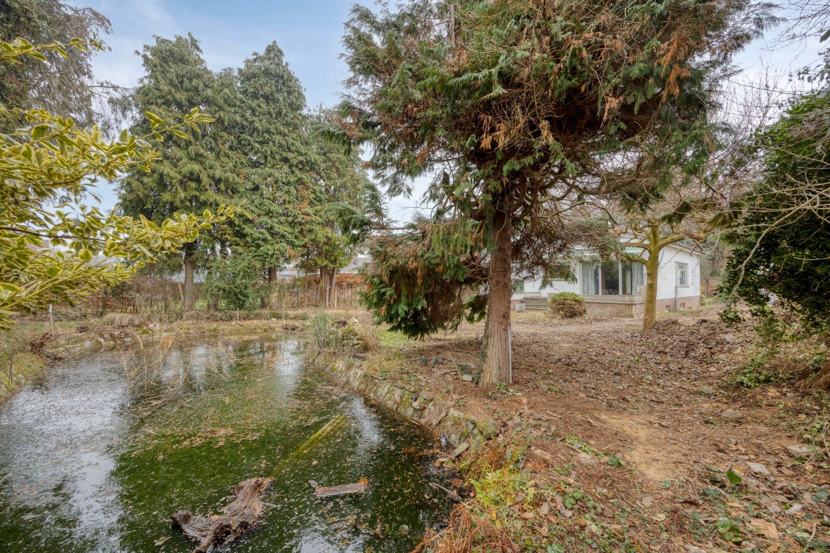 Open bebouwing met 3 slaapkamers, ruime garage op een perceel van 9a 62ca– EPC 596 kWh/m² - bewoonbare opp. 218 m² foto 30