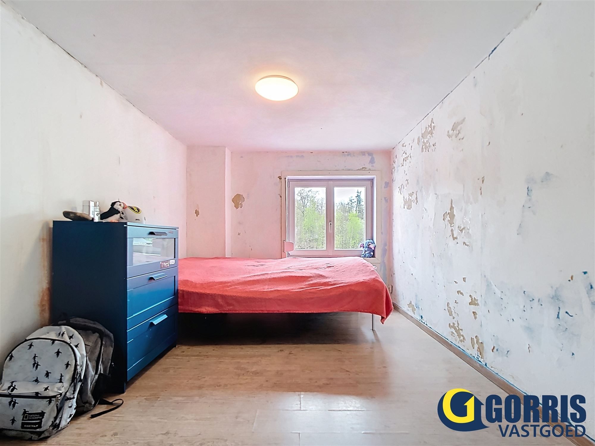 Vrijstaande gezinswoning met renovatiepotentieel









 foto 9