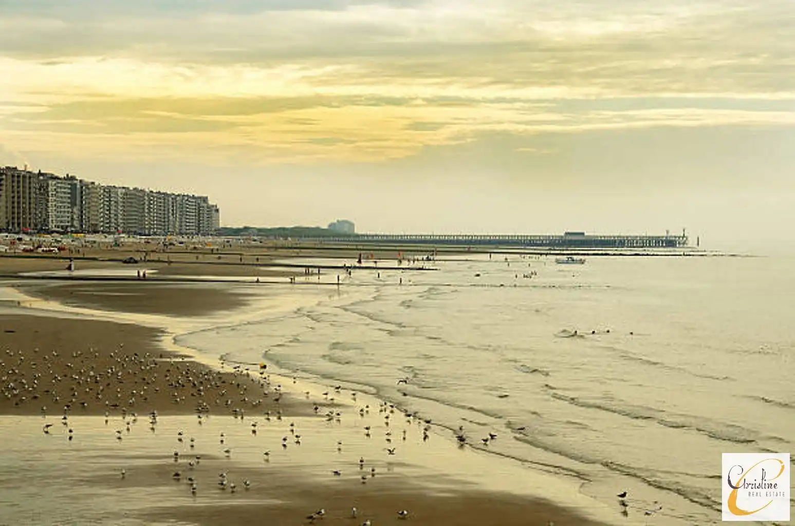 Karaktervol investeringspand op topligging in Blankenberge  foto 15