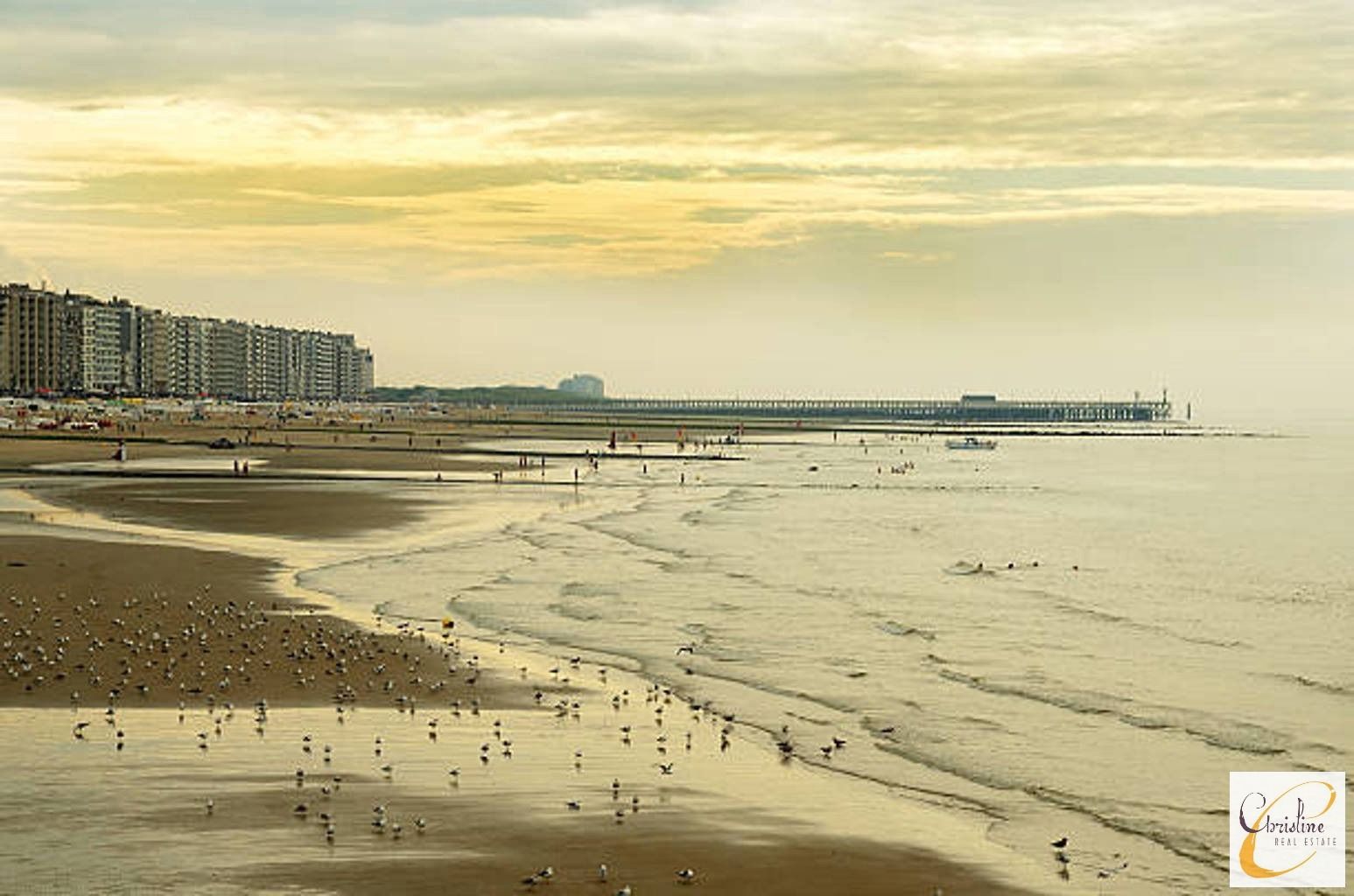 Karaktervol investeringspand op topligging in Blankenberge  foto 15