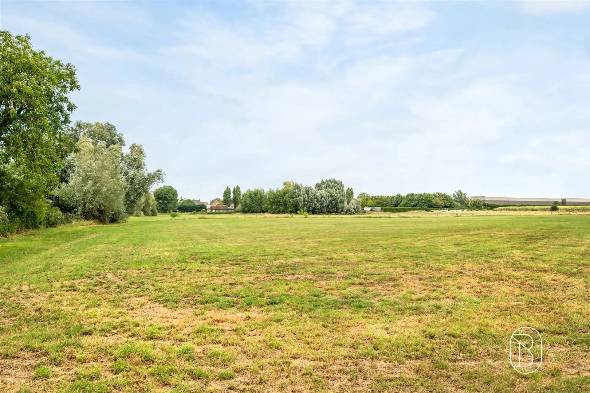 Uitgestrekte landbouwgrond van 2,4 ha in Wielsbeke foto 3