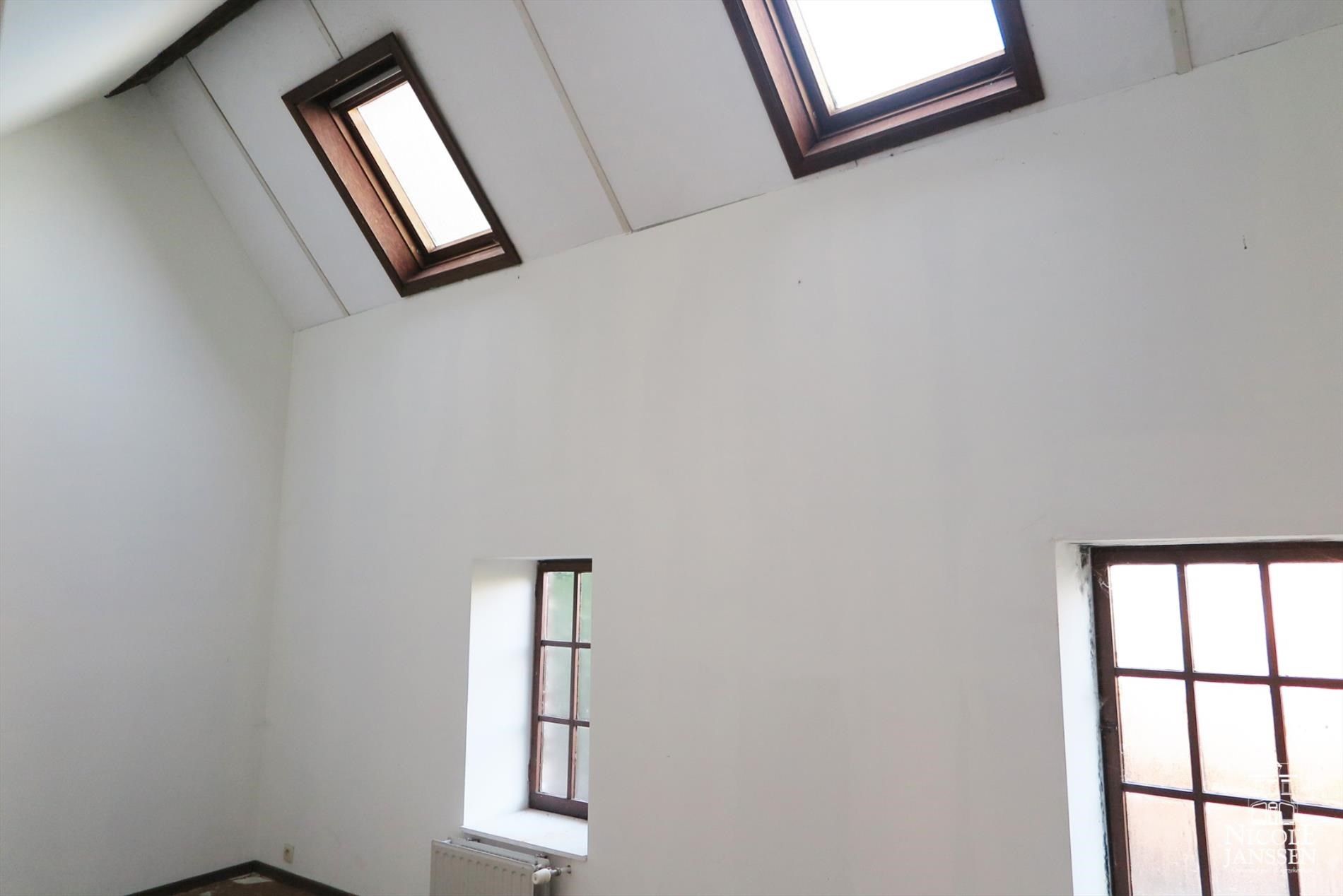 Authentieke stadsboerderij  foto 19