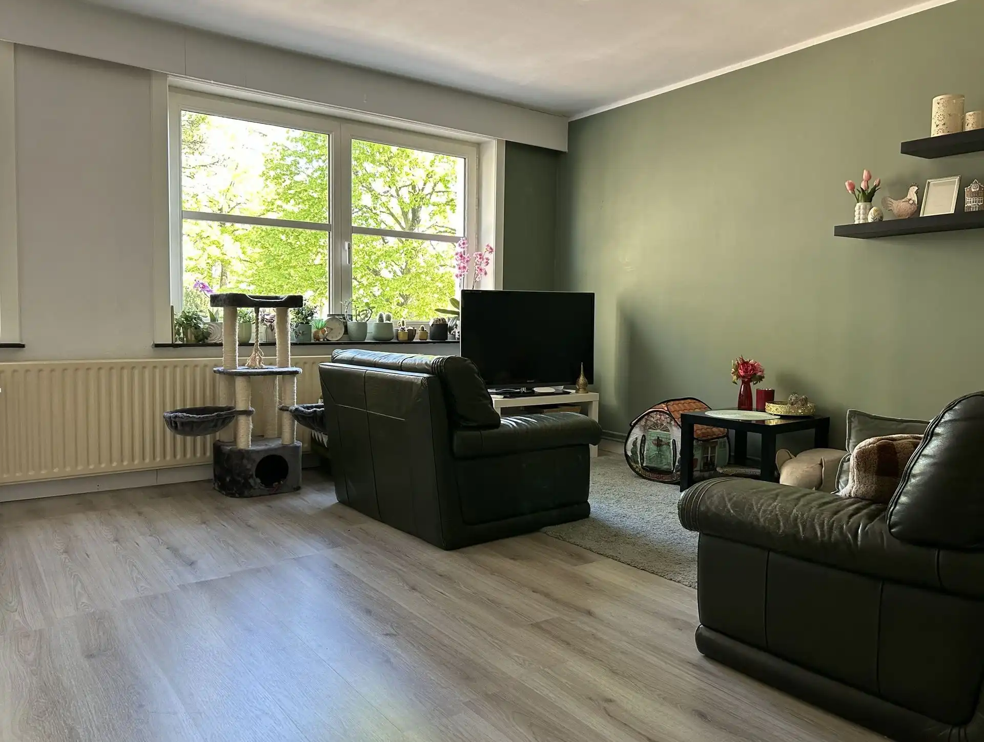 Duplexappartement in centrum Hamont foto 2