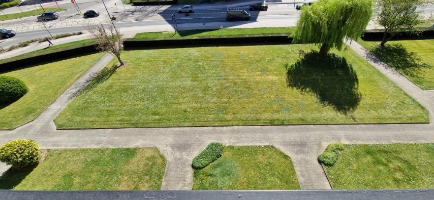 Volledig vernieuwd APPARTEMENT op de 4de verdieping met 2 slaapkamers, ondergrondse kelder en garage in het hoofdgebouw foto 43