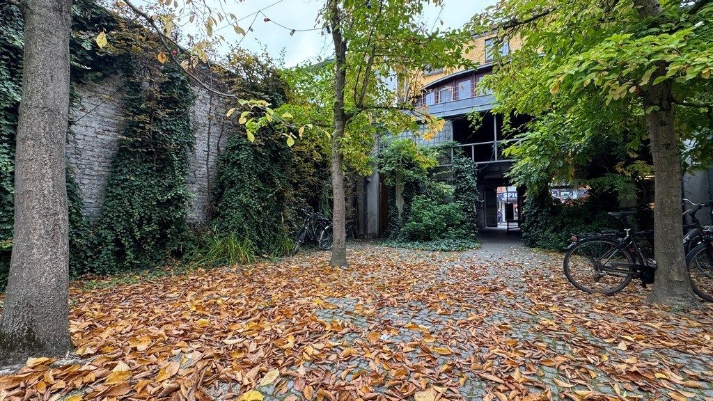 Commercieel horecapand te huur in bruisende buurt in Gent foto 11