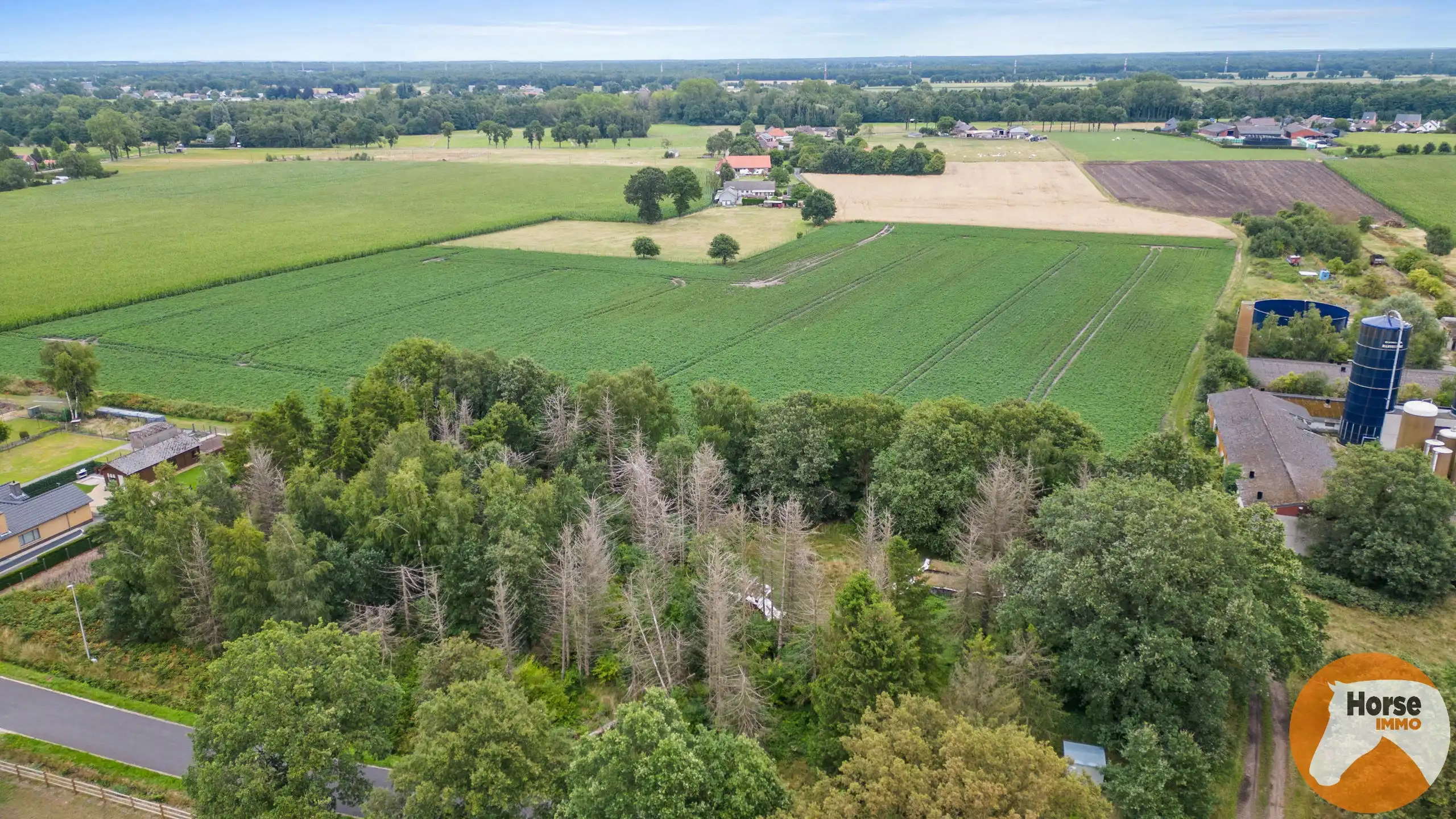 OUDSBERGEN - Grond voor woning met stalgebouw op 2ha70 foto 4