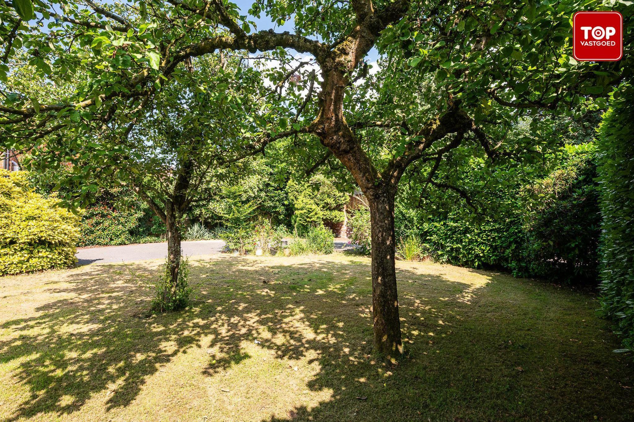 Ruime karaktervilla met magazijn op riant Perceel van 2200M².  foto 12